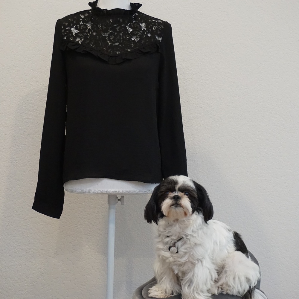 Lace ruffle Blouse